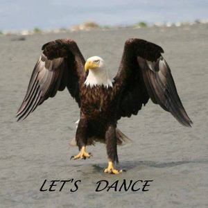 Meet your Posher, Nathan